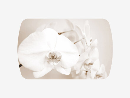 Стол раздвижной Бостон-3 Лунная орхидея (Триумф) 