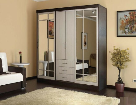 Шкаф-купе Маэстро  