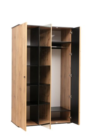 Шкаф для одежды Либерти 51.14  